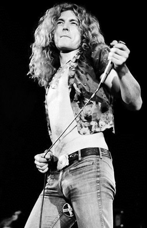 Robert Plant 0